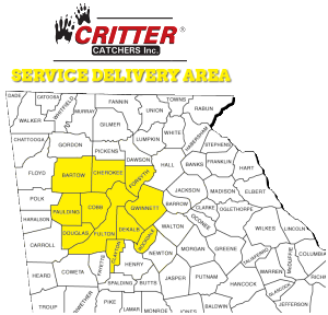 Critter Catcher - Service Map