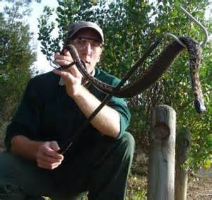 Snake Removal Specialists